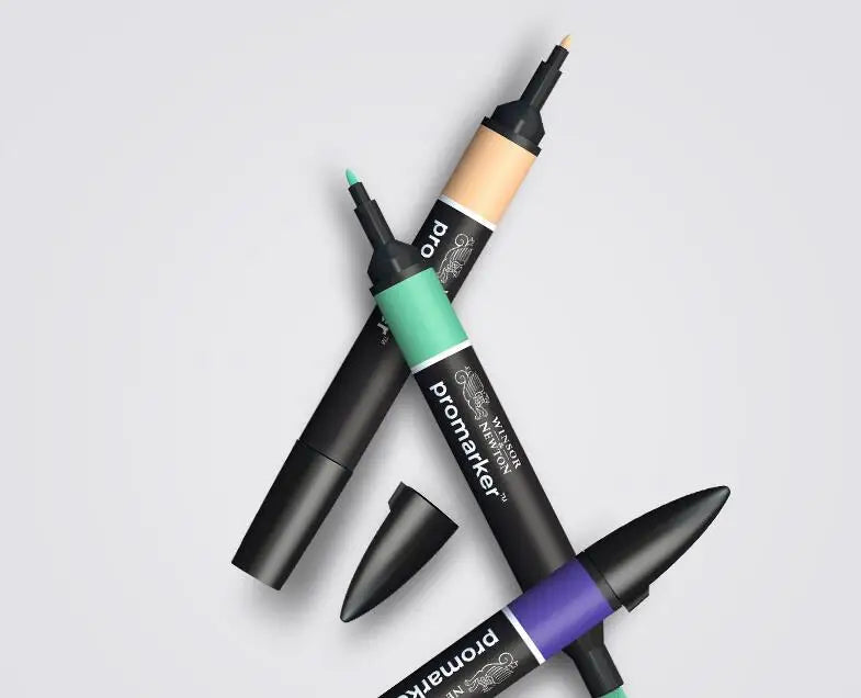 Winsor & Newton Promarker 48 Colors Art Marker Pen Set – AOOKMIYA