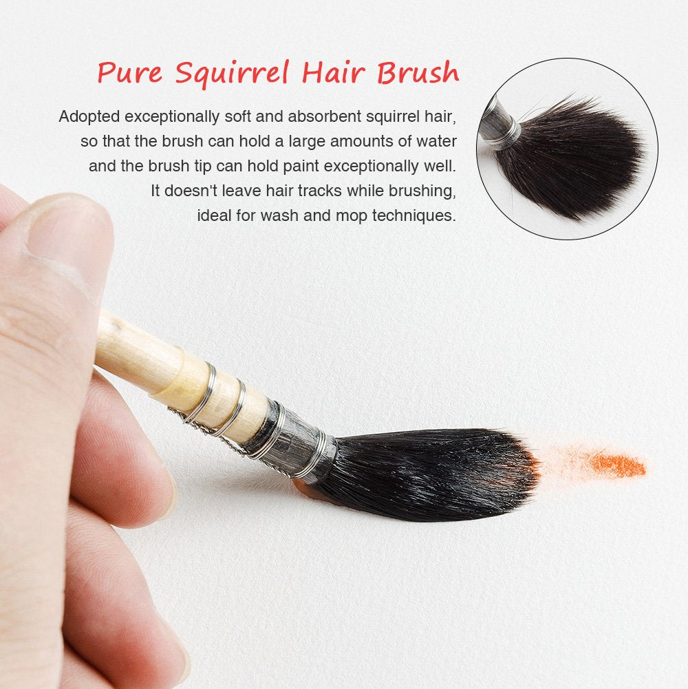 Artistic Watercolor Brush Set: Professional Nylon and Squirrel