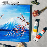 1 Set 10ML/tube WINSOR & NEWTON Acrylic Paints set Hand-painted wall painting textile paint colored Art Supplies AOA020