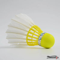 10 Tube Goose Feather Badminton Shuttlecocks D51 Stable and Sturdy High Speed Badminton Shuttles Training Shuttlecock