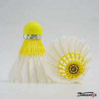 10 Tube Goose Feather Badminton Shuttlecocks D51 Stable and Sturdy High Speed Badminton Shuttles Training Shuttlecock