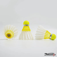 10 Tube Goose Feather Badminton Shuttlecocks D51 Stable and Sturdy High Speed Badminton Shuttles Training Shuttlecock