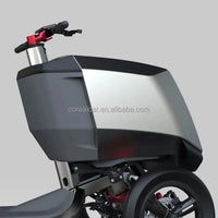 48V 1000W Three-wheeled Electric Cargo Bicycle with Safe Trailer and Fat Tire