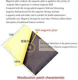 60pcs Muxibustion Patch Self-Heating Moxa Sticker Chinese Mugwort Leaf Foot Pads Pain Relieve for Neck, Back, Knee, Waist, 7x10cm