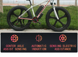AKEZ All-Terrain Electric Bicycle 750W High-Power motor 48V13AH Battery 26*4.0 tires Mountain E-Bike 35KM/H Urban Electric Bike