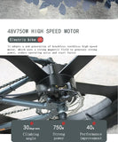 AKEZ All-Terrain Electric Bicycle 750W High-Power motor 48V13AH Battery 26*4.0 tires Mountain E-Bike 35KM/H Urban Electric Bike