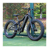 Bafang M620 Mid Drive Motor Electric Bike, Powerful Mountain Bicycle, Tricycle, Road Bike, 1000W, 48V