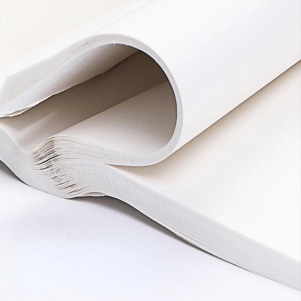 Ripe Xuan Paper Long Roll White Translucent Papier Chinese Calligraphy  Brush Pen