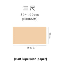 Chinese Calligraphy Painting Raw Rice Paper Papel Arroz Beginners Brush Pen Writing Practice Papier Chinese Half Ripe Xuan Paper