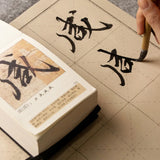 Chinese Brush Pen Calligraphy Book Portable Chinese Character Starter Seal Offical Regular Script Copybook Brush Copybooks