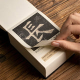 Chinese Brush Pen Calligraphy Book Portable Chinese Character Starter Seal Offical Regular Script Copybook Brush Copybooks
