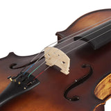 Astonvilla 16 Inch Viola Spruce Wood Panel Retro Matte Acoustic Viola Stringed Instrument with Case Bow For Musical Lover