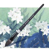 AOOKMIYA 1pcs Squirrel Hair Cat Tongue Shape Pen Watercolor Brush Professional Painting Hook Line Pen Gouache Brush Art Supplies