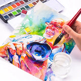 AOOKMIYA Squirrel Hair Red Rod Watercolor Pen Round/Pointed Nylon Solid Watercolor Paint Brush Professional Painting Art Supplies