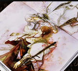 AOOKMIYA 2 Books Chinese Antique Watercolor Painting Books Eno illustration Art Drawing Collection:Ye Xiang Hua Gu Niao