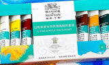 Winsor Newton Fine Acrylic Color Paint Set Artist Professional 12 Colors Paints