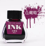 16-color Bottled Non-carbon Color Ink INK Pen Ink Ink 30ml Smooth and Non-blocking Nib School Supplies