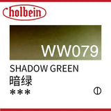 Imported Japan Holbein watercolor pigment professional transparent Aguarela 60ml tube artist watercolor art supplies