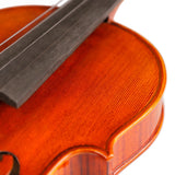 JLM High-grade Professional Violin 20 Years Old Naturally Dried Stripes Maple Hand-craft Violino 4/4 3/4  fiddle case bow rosin