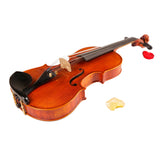 JLM High-grade Professional Violin 20 Years Old Naturally Dried Stripes Maple Hand-craft Violino 4/4 3/4  fiddle case bow rosin