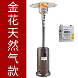 Minimalist Courtyard Shopping Mall Patio Heaters Nordic Dining Room Dormitory Gas Heater Outdoor Cafe Commercial Heating Stove G