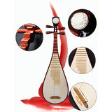 AOOKMIYA Professional Pipa Aldult Lute Chinese Ethnic Music Instrument Traditional Oriental Stringed Musical Instruments with Accessories AOOKMIYA.COM