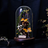 AOOKMIYA ART+ Creative Gifts Butterfly Specimens Plant Specimens Dried Flowers Handmade Ornaments Insects Home Immortal Flowers Display Gifts Micro Landscape