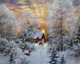 AOOKMIYA 218-378 Painting By Number Winter Landscape Home Decor For Unique Gift