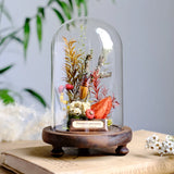 AOOKMIYA Real Beetle Insect Specimen Butterfly Micro Landscape Glass Cover Display Still Life Ornament Science Plant Creative Gift