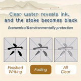 AOOKMIYA Reusable Chinese Calligraphy Practice Copybook No Ink,Water Writing Cloths Set, for Clear Water, Writing, for Aldults,Students