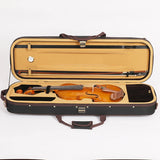 Professional Musical Instruments Violin 4 4 with Violin case Carbon Fiber