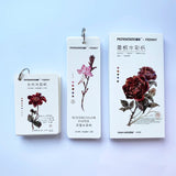 AOOKMIYA POTENTATE Card Watercolor Paper 300g Cotton Pulp Fine Lines Portable Ticket Stub Bookmark Painting Paper Travel Art Supplies