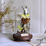 AOOKMIYA ART+ Creative Gifts Butterfly Specimens Plant Specimens Dried Flowers Handmade Ornaments Insects Home Immortal Flowers Display Gifts Micro Landscape