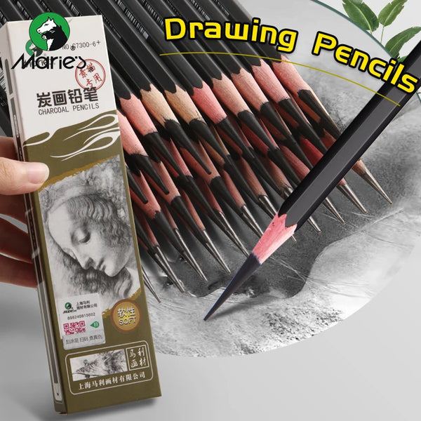 AOOKMIYA 12pcs Marie's Charcoal Pencils,Extra Soft/Soft/Medium Art Graphite Pencils Set for Drawing,Sketching,Shading,forArtists,Adults