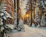 AOOKMIYA 218-378 Painting By Number Winter Landscape Home Decor For Unique Gift