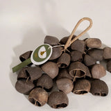 AOOKMIYA Muscaria Handbells Natural Plant Shell Concert Accompaniment Salin Hand Ringing Bell Meditation Musical Instruments Percussion AOOKMIYA.COM