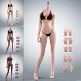 T303P 1/6 Scale Seamless Anime Female Figure | Realistic Skin & Articulated Joints | Super Flexible Collectible Art Toy