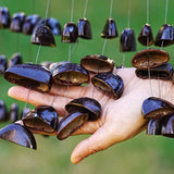 Natural Fruit Shell Sound Beam Sound Healing Yoga Meditation Seed Shell Plant Fruit Wind Chimes Outdoor Percussion Instruments