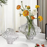 AOOKMIYA Nordic valley glass vase Denmark canyon transparent flower arrangement water care light luxury high-end creative art ornament