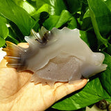 Natural Agate Stone Crystal Druzy Geode Bougainvillea Fish Statue Meditation Energy Healing Feng Shui Crystal Room Decoration