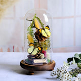 AOOKMIYA ART+ Creative Gifts Butterfly Specimens Plant Specimens Dried Flowers Handmade Ornaments Insects Home Immortal Flowers Display Gifts Micro Landscape