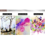 Windsor Newton Watercolor Retention Fluid Comic Embellishments Painting Materials Pigment Masking Ink Medium Ox Bile Gum Arabic