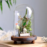 AOOKMIYA Real Beetle Insect Specimen Butterfly Micro Landscape Glass Cover Display Still Life Ornament Science Plant Creative Gift