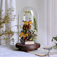 AOOKMIYA ART+ Creative Gifts Butterfly Specimens Plant Specimens Dried Flowers Handmade Ornaments Insects Home Immortal Flowers Display Gifts Micro Landscape