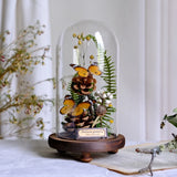 AOOKMIYA ART+ Creative Gifts Butterfly Specimens Plant Specimens Dried Flowers Handmade Ornaments Insects Home Immortal Flowers Display Gifts Micro Landscape