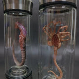 AOOKMIYA Alien Glow Jar Xenomorph Specimen Facehugger Embryo Glass Jar Movie Prop Replica Home Decor Desktop Crafts Sculpture Decoration