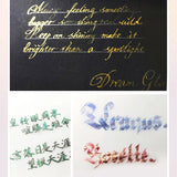 Ink Self-adjusting Glitter Gold Powder Silver Powder DIY Pearlescent Color Ink Pen Glass Pen Ink Glitter Powder fountain pen ink