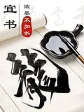AOOKMIYA Yidege Professional Chinese Sumi Refined Ink Black Liquid Traditional Calligraphy Brush Painting 100g/250g/500g Writing Drawing