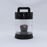 AOOKMIYA Alien Glow Jar Xenomorph Specimen Facehugger Embryo Glass Jar Movie Prop Replica Home Decor Desktop Crafts Sculpture Decoration
