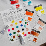 AOOKMIYA WINSOR&NEWTON Opaque Designer Watercolor Artist 12 Color 1ML Solid Gouache Set Professional Beginner Student Cute Art Supplies